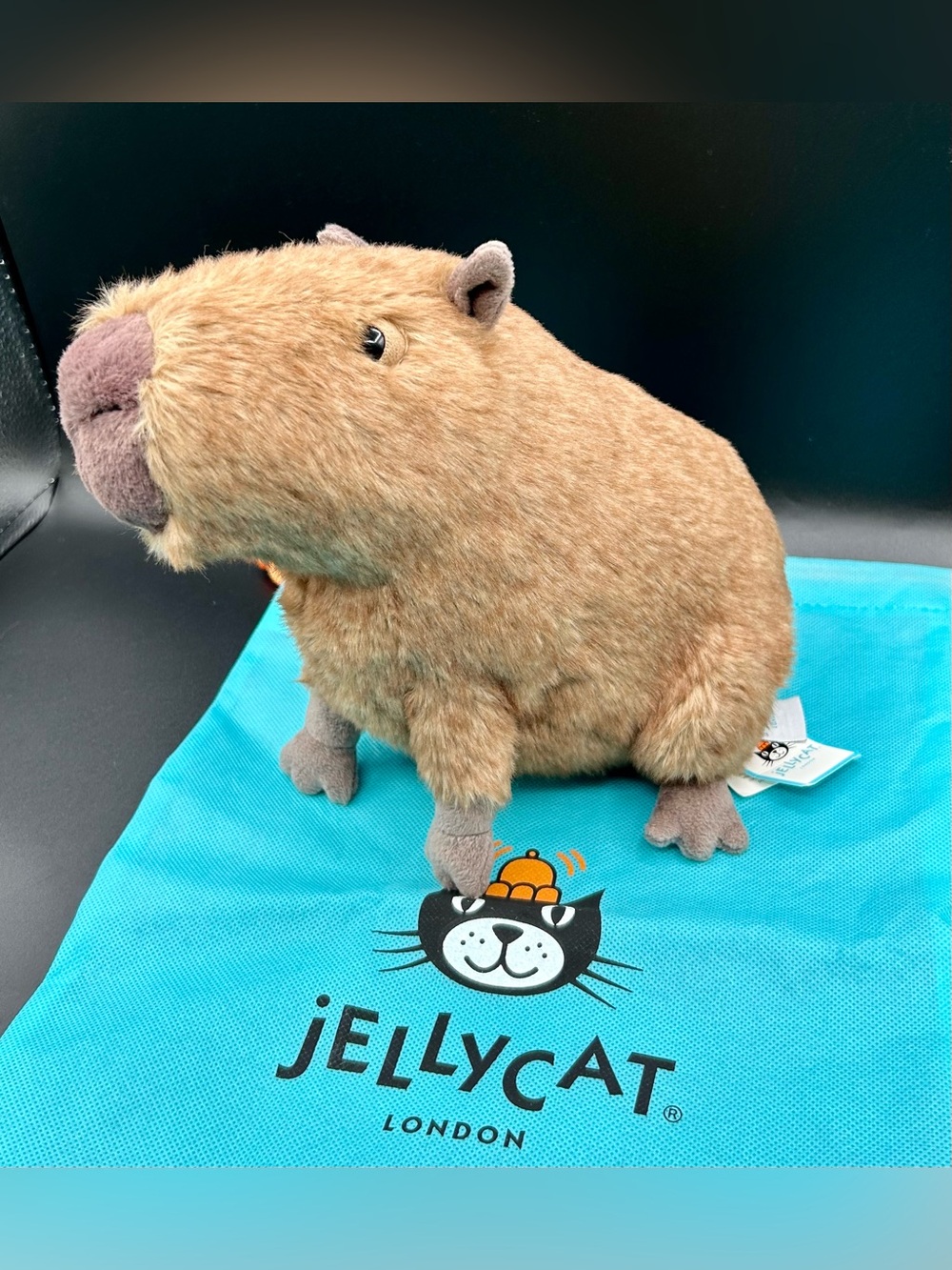 JELLYCAT Clyde Capybara Stuffed Animal.